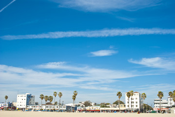 sunny day at venice beach 7 of 7