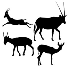 set of silhouette of antelope © Perysty