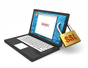 Computer SSL Security