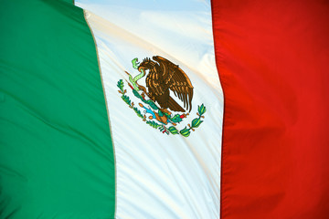mexican flag flutters close up