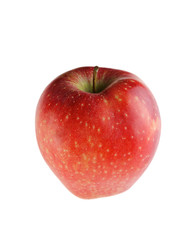 Apple on a white background