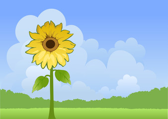 Sunny landscape with sunflower