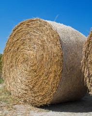 Rolling Haystack.