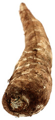 tubercule de manioc, manihot esculenta, fond blanc