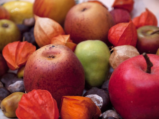 Die Früchte des Herbstes