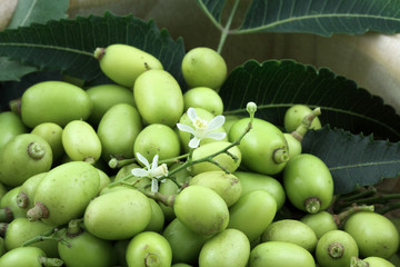neem, lilas des Indes : bol de fruits verts