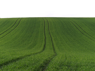 Obraz premium Fahrspuren in grünem Feld