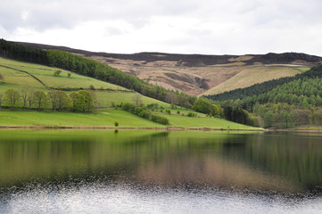 Resevoir VIII