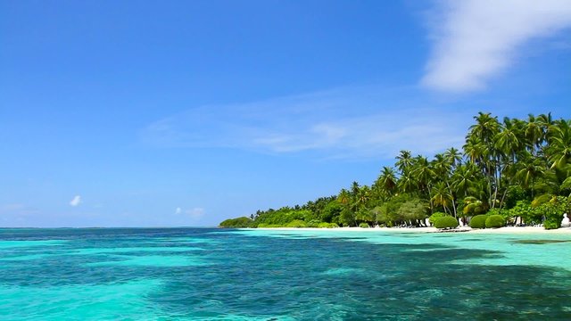 Tropical Paradise at Maldives with palms and blue sky