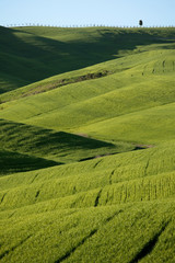 landscape around siena tuscany italy