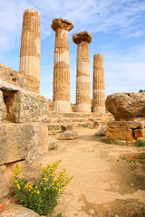 Fototapeta premium Agrigento - ancient Greek temple