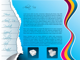 Torn web template