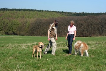 Hundewanderung