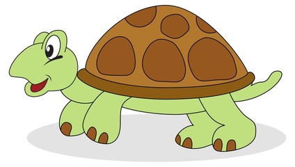 Turtle