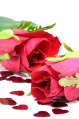 zwei rote Rosen mit Herzen