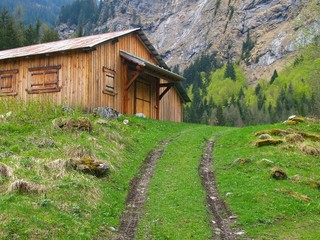 Piste de montagne