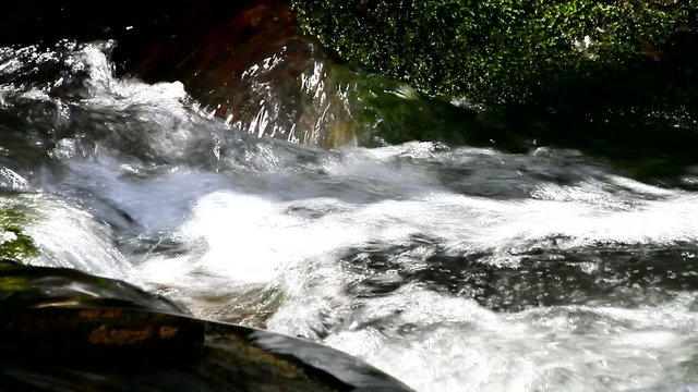 stream