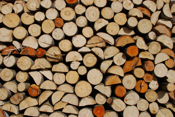 Pile of wood