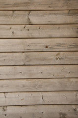 Texture