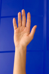Hand, Arm