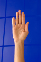 Hand, Arm