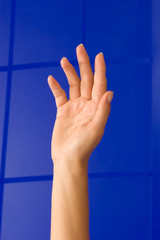 Hand, Arm