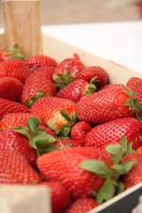 barquette de fraises