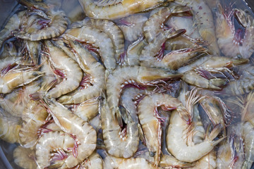 Shrimp stock