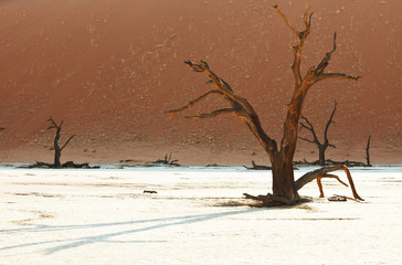 Dead valley