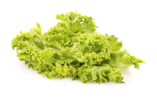 Green lettuce salad isolated   on white background