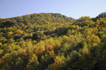 Fototapeta premium gennargentu