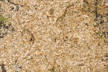 sawdust