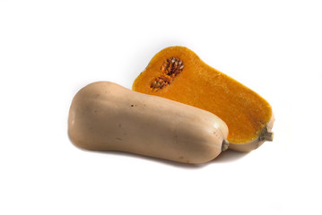 honey pumpkin (Honigkürbis)