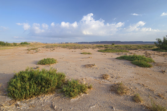 steppe landscape