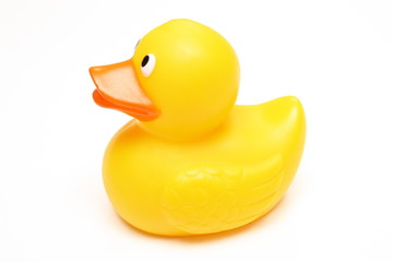 Canard