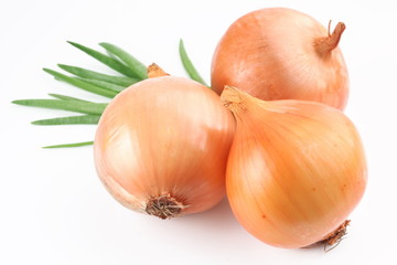 Fototapeta premium Fresh bulbs of onion on a white background