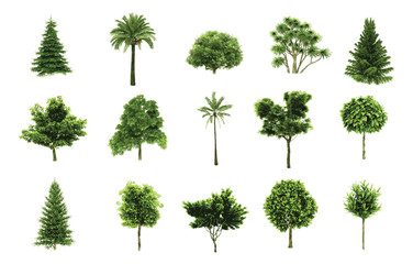 Vector trees