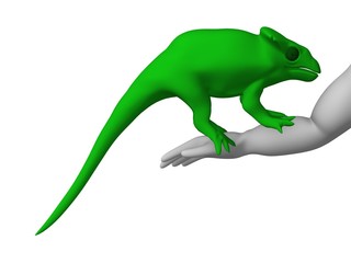 chameleon