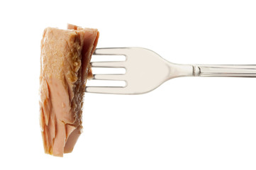 fork with tuna close