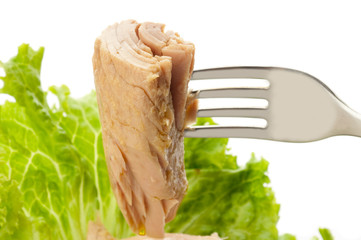 fork with tuna and salad