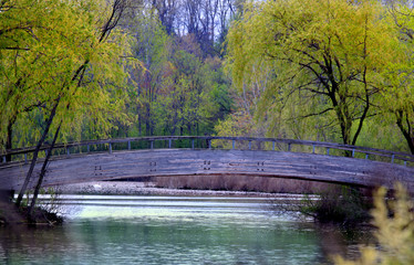 Beautiful riverscape
