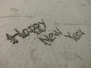 20100505_２０１１年