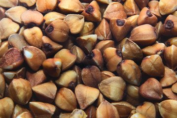 Buckwheat seeds