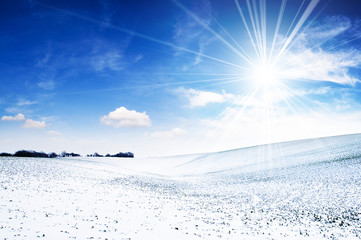 Sun and snow
