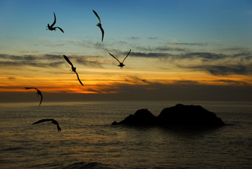 Twilight in California