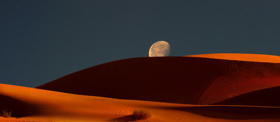 Moonrise Over the Dunes