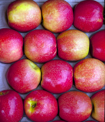 fresh apples in a store