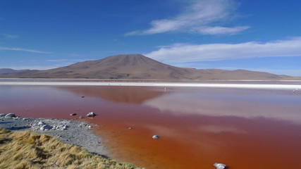 Laguna colorada