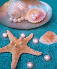 Beautiful shells,pearls and a star  on interesting background