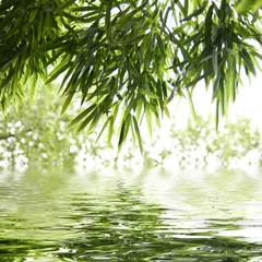 Tissu par mètre Bambou reflets de feuilles de bambous